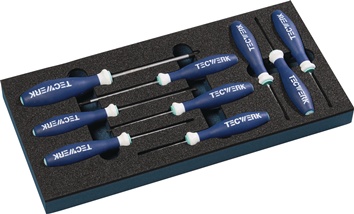 Werkzeugmodul 9-tlg.1/3-Modul T 6-T 30 TECWERK