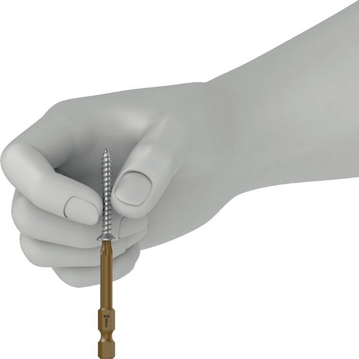 Koch-Werkzeuge: Bit 867 TORX® HF 1/4 ″ TX 8 Länge 50 mm mit 